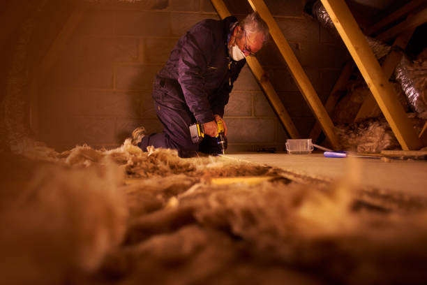 Best Types of Insulation in Saranap, CA